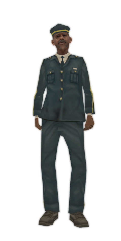 Skin 253
