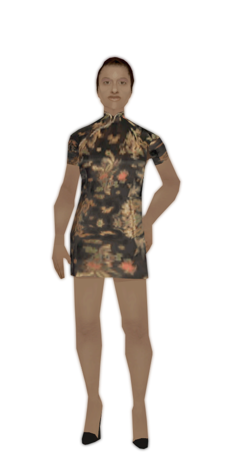 Skin 263
